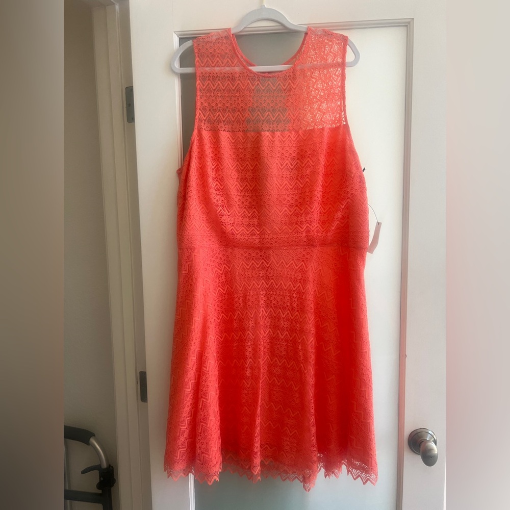 BB Dakota Lace Sleeveless A-Line Dress